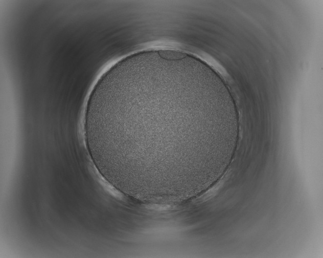 X0000112531248200908241500
