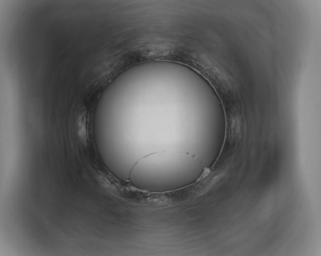 X0000112531250200908241500