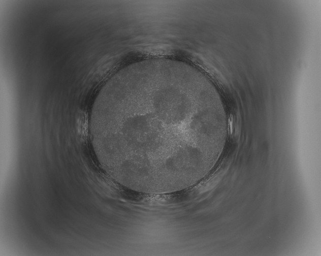X0000112531251200908241500