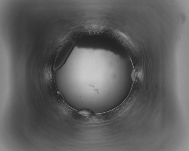 X0000112531252200908241500