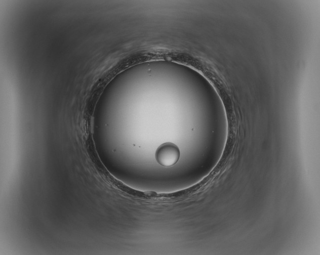 X0000112531253200908241500