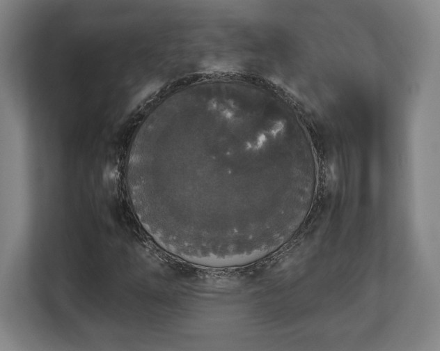 X0000112531254200908241500