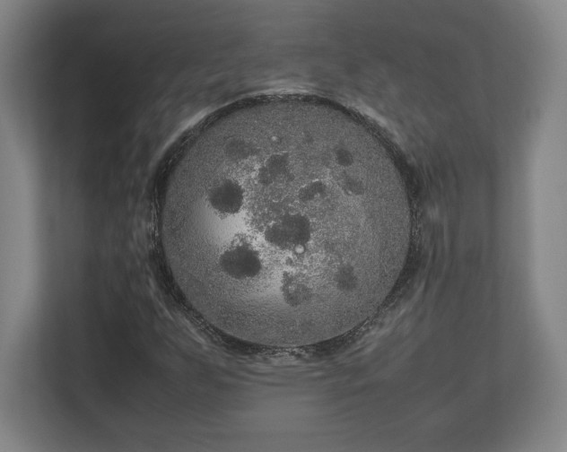 X0000112531255200908241500