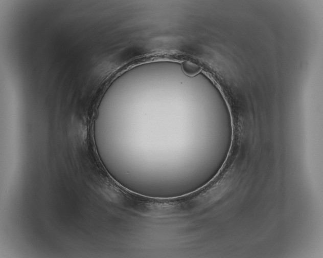 X0000112531257200908241459