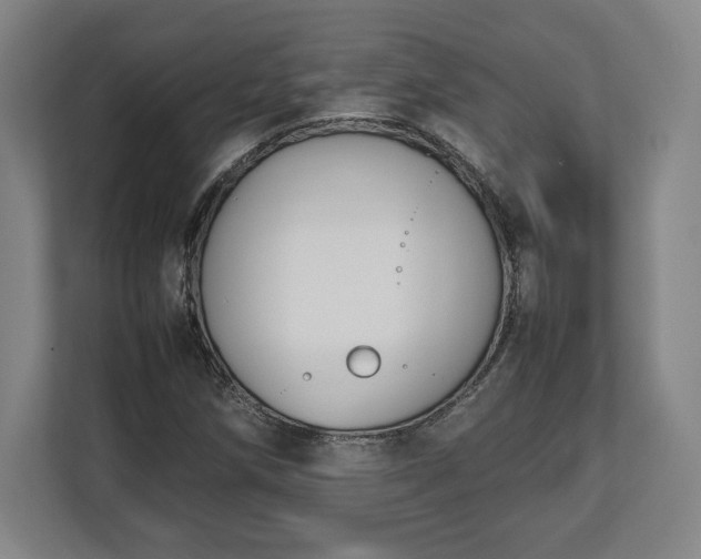 X0000112531258200908241459
