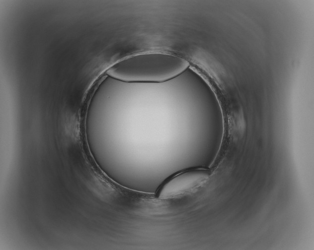 X0000112531260200908241459