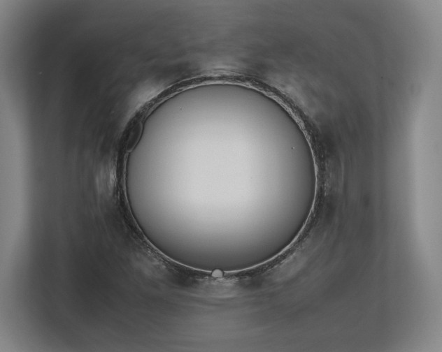 X0000112531261200908241459