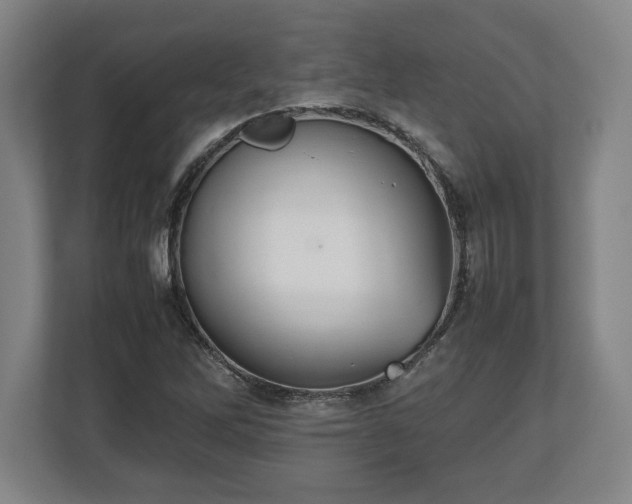 X0000112531262200908241459