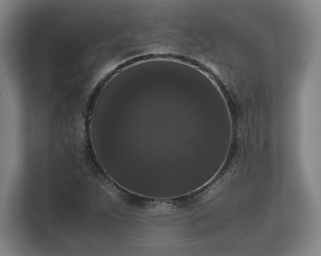 X0000112531263200908241459