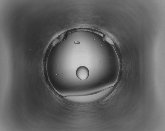 X0000112531264200908241459