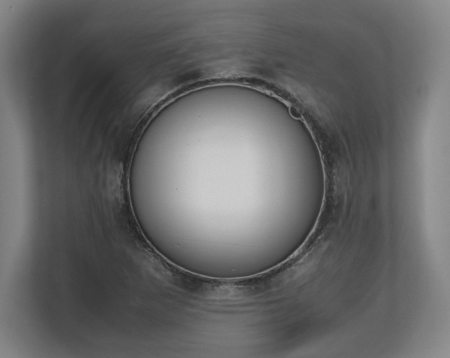 X0000112531265200908241459