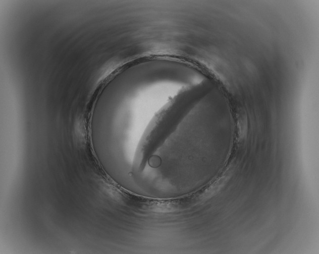 X0000112531266200908241459