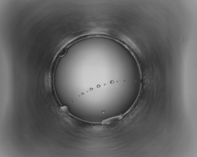 X0000112531268200908241459