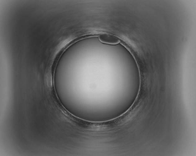 X0000112531269200908241459