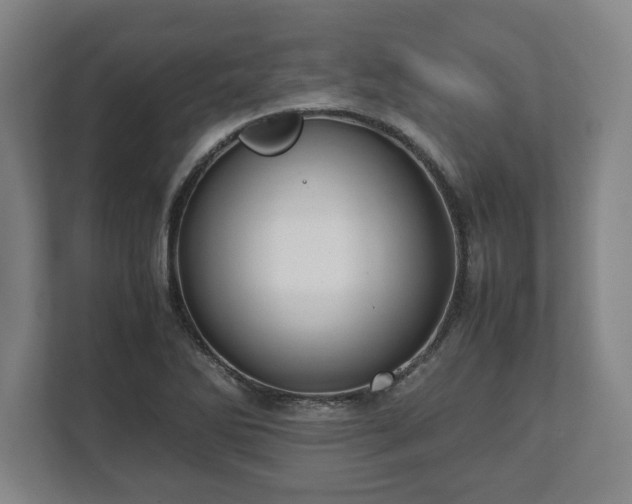 X0000112531270200908241459