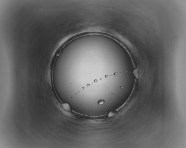 X0000112531272200908241459