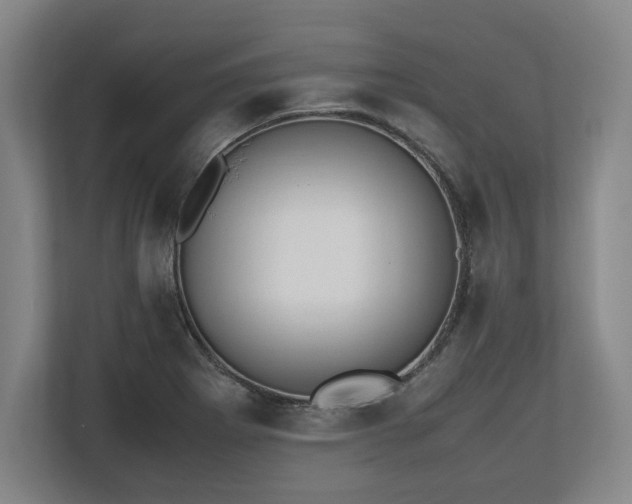 X0000112531273200908241459