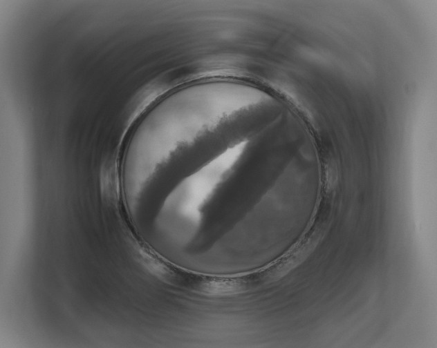 X0000112531274200908241459