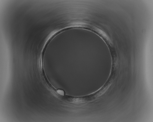 X0000112531275200908241459