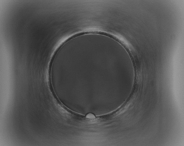X0000112531279200908241459