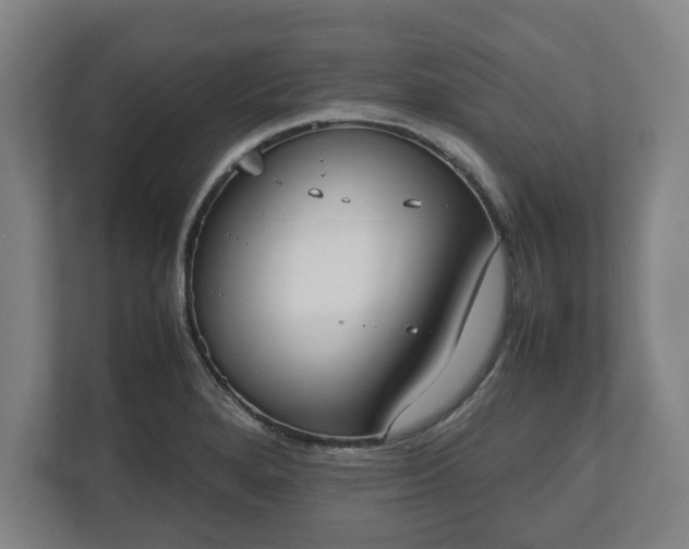 X0000112531280200908241459
