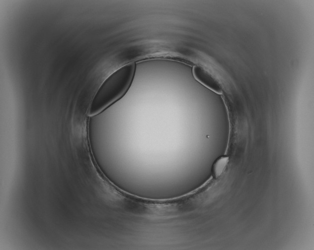 X0000112531281200908241459