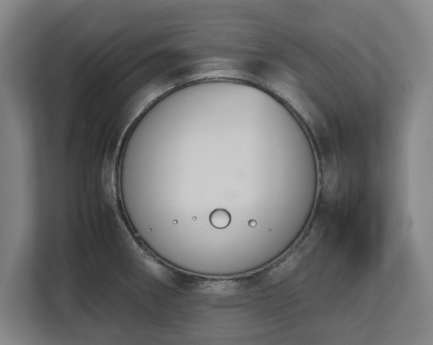 X0000112531282200908241459