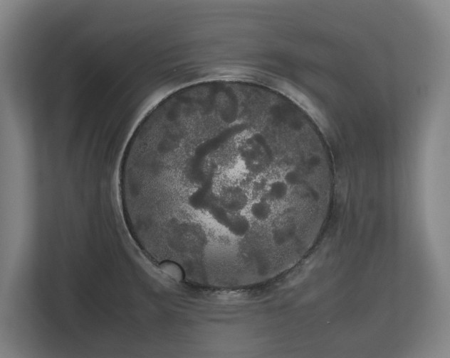 X0000112531283200908241459
