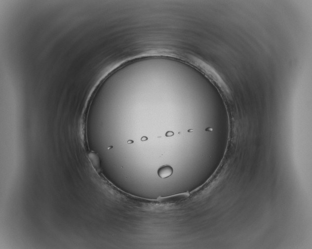 X0000112531284200908241459