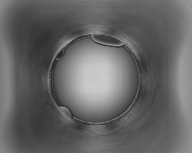 X0000112531285200908241459