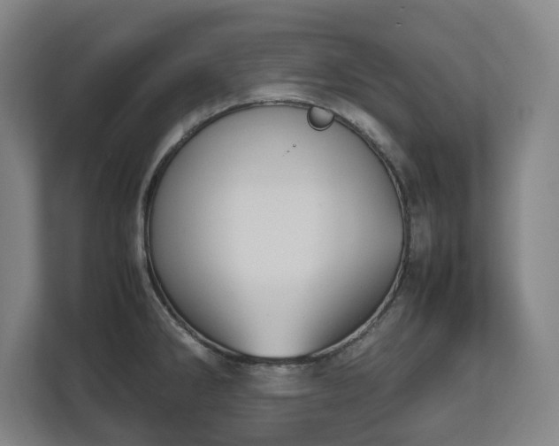 X0000112531286200908241459