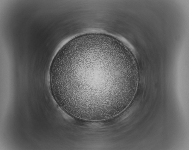 X0000112531287200908241459