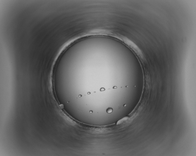 X0000112531288200908241459