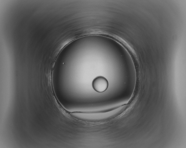 X0000112531289200908241459