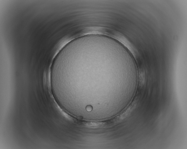 X0000112531290200908241459