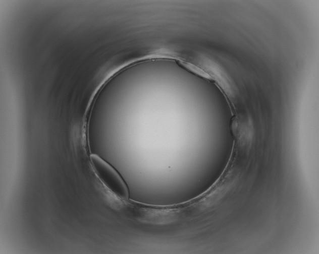 X0000112531292200908241459