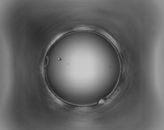 X0000112531293200908241459