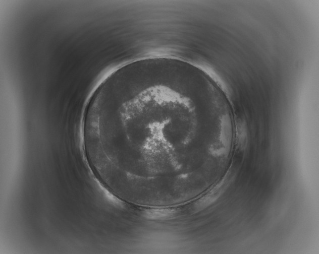X0000112531294200908241459