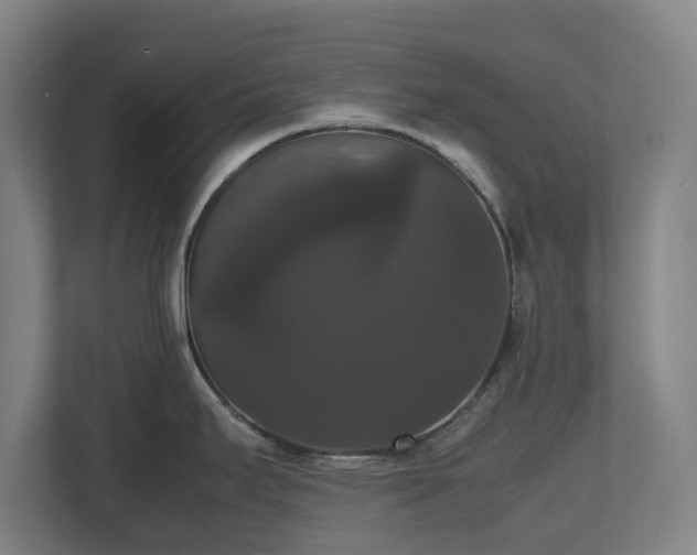 X0000112531295200908241459