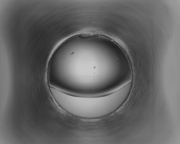X0000112531296200908241459