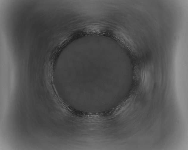 X0000112531297200908241458