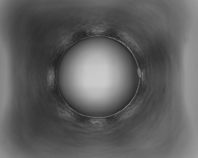 X0000112531299200908241458
