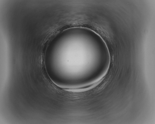 X0000112531300200908241458