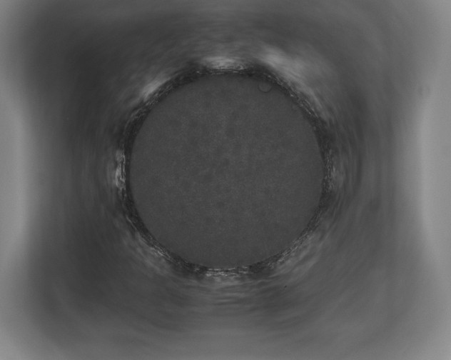 X0000112531301200908241458