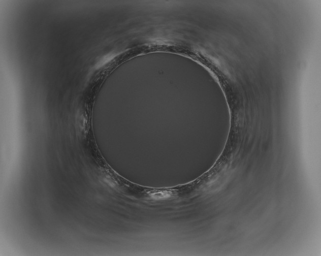 X0000112531303200908241458