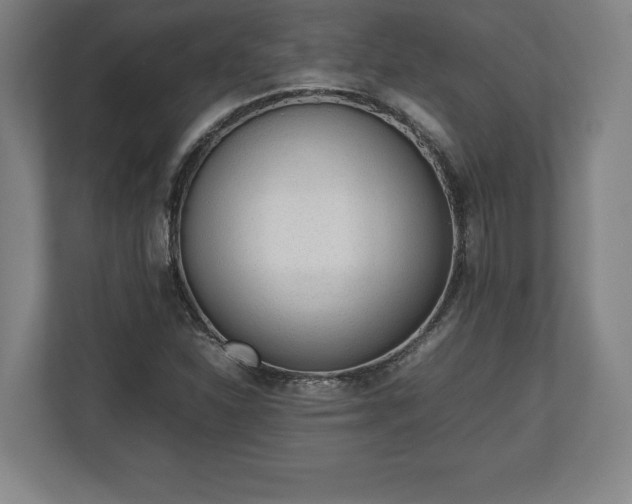X0000112531310200908241459