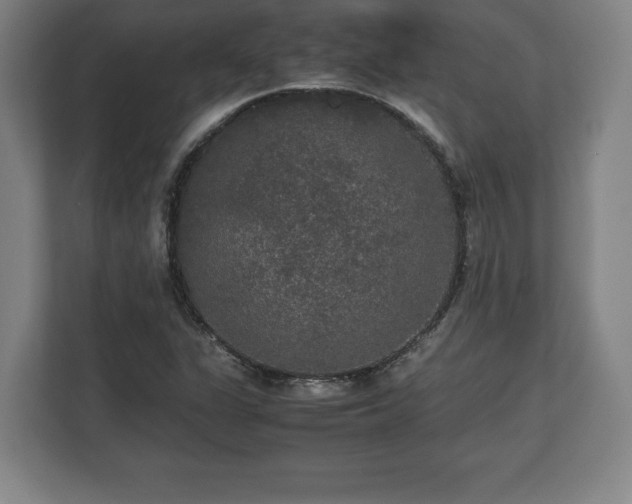 X0000112531311200908241459