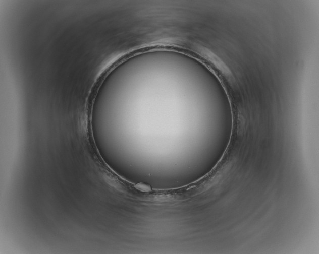X0000112531316200908241459