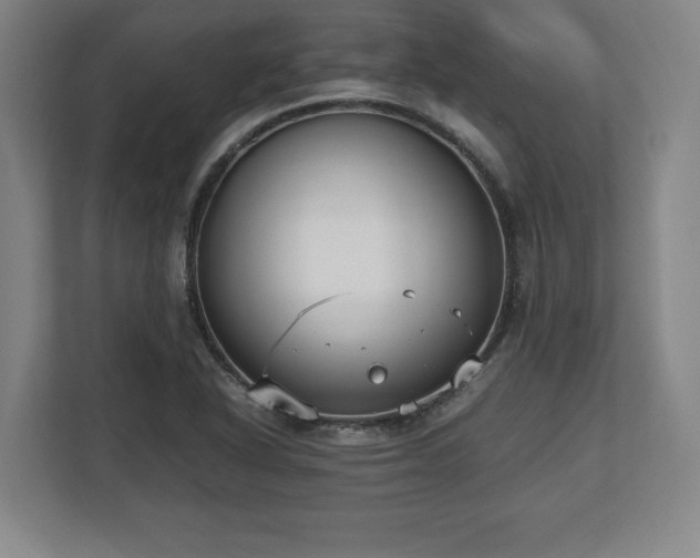 X0000112531318200908241459