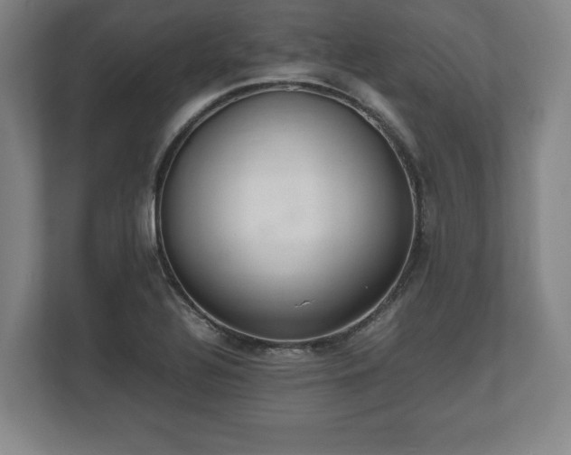 X0000112531320200908241459